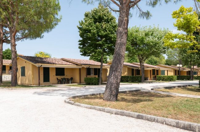 Bungalow gialli tra gli alberi in un villaggio.