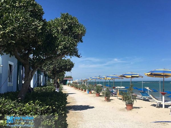 Spiaggia con ombrelloni e mare al sole.