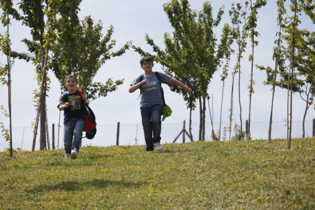 Due bambini corrono giù per una collina erbosa con alberi sullo sfondo.
