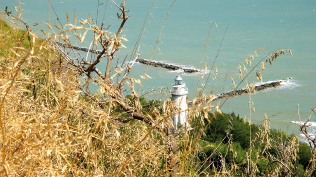 Un faro visto attraverso erba secca, con mare e dighe frangiflutti sullo sfondo.