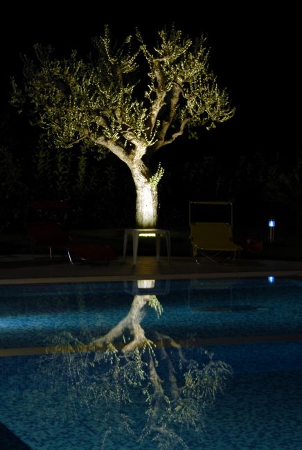Un albero illuminato si riflette nell'acqua di una piscina di notte.